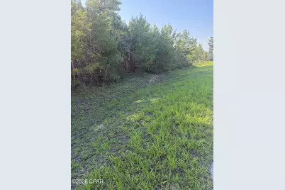 6629 Porter Grade Road, Altha, FL 32421 - Photo 4