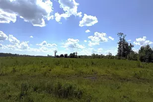 Lot 2 Hwy 71 S, Wewahitchka, FL 32449 - Photo 1