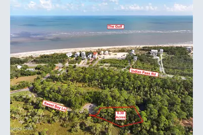 Lot 15 Sweet Bay Lane, Port Saint Joe, FL 32456 - Photo 6