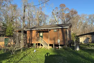 223 Highroller Soldier Dr, Wewahitchka, FL 32465 - Photo 1