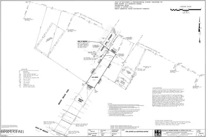 117 S 37th Street #D, Mexico Beach, FL 32456 - Photo 4