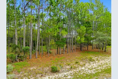 1509 Sweetbay Trail, Panama City Beach, FL 32413 - Photo 4