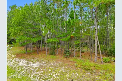 1509 Sweetbay Trail, Panama City Beach, FL 32413 - Photo 4
