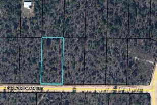 0 Golconda St, Alford, FL 32420 - Photo 1