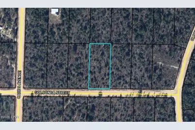 0 Golconda Street, Alford, FL 32420 - Photo 2