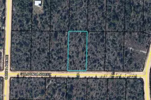 0 Golconda St, Alford, FL 32420 - Photo 2