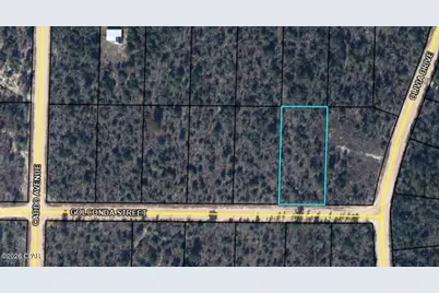 0 Golconda Street, Alford, FL 32420 - Photo 4