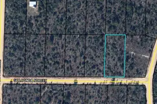 0 Golconda St, Alford, FL 32420 - Photo 4