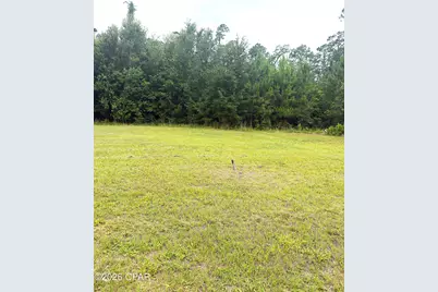 Lot 3 Oak Grove Avenue, Port Saint Joe, FL 32456 - Photo 2