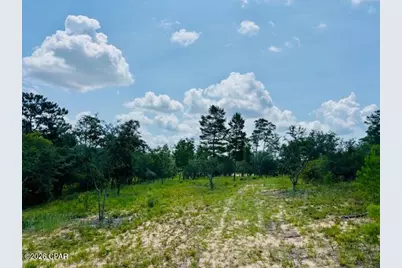 00 Lake Ridge Drive, Chipley, FL 32428 - Photo 16