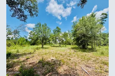 00 Lake Ridge Drive, Chipley, FL 32428 - Photo 12