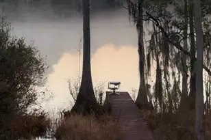 3047 Everest Dr, Chipley, FL 32428 - Photo 22