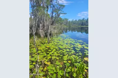 3047 Everest Drive, Chipley, FL 32428 - Photo 6