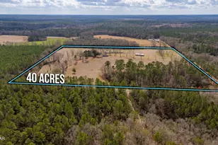 686 Alford Rd, Defuniak Springs, FL 32433 - Photo 50