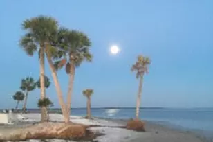4100 Marriott 808 Dr, Panama City, FL 32408 - Photo 40