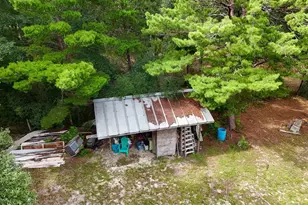 12525 Perkins Rd, Southport, FL 32409 - Photo 8