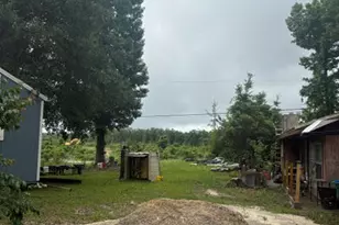 2435 Douglas Pond Rd, Marianna, FL 32446 - Photo 10
