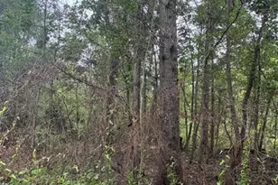 2435 Douglas Pond Rd, Marianna, FL 32446 - Photo 16