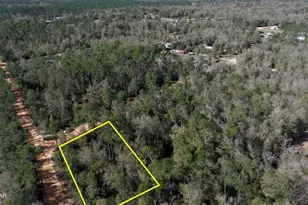 8 Dixie Ave, Fountain, FL 32438 - Photo 1