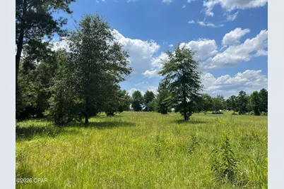 00 Gotcha Road, Marianna, FL 32448 - Photo 10