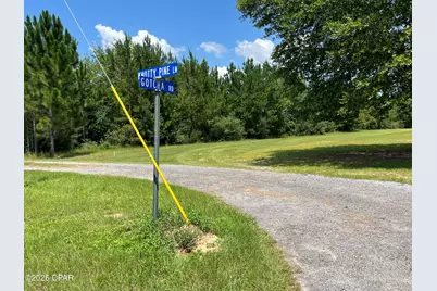 00 Gotcha Road, Marianna, FL 32448 - Photo 4