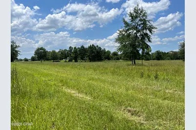 00 Gotcha Road, Marianna, FL 32448 - Photo 2