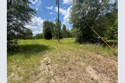 00 Gotcha Road, Marianna, FL 32448 - Photo 8