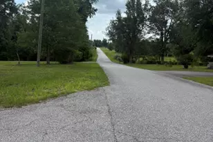 2485 Spring Creek Rd, Marianna, FL 32448 - Photo 14