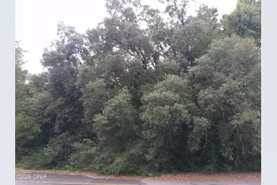 Lot 11 Eastbrook Drive #2, Chipley, FL 32428 - Photo 2