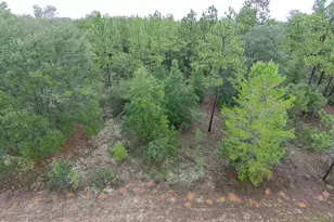 Lot 12 Yorkshire Dr, Chipley, FL 32428 - Photo 1