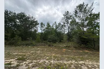 Lot 12 Yorkshire Drive, Chipley, FL 32428 - Photo 2