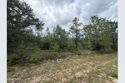 Lot 12 Yorkshire Drive, Chipley, FL 32428 - Photo 4
