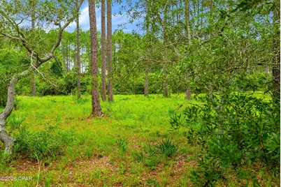 6408 River Bluff Trail, Panama City Beach, FL 32413 - Photo 120