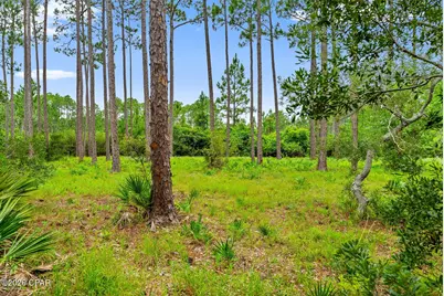 6307 River House Drive, Panama City Beach, FL 32413 - Photo 10