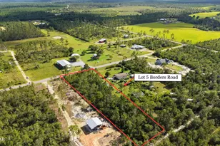 Lot 5 Borders Rd, Wewahitchka, FL 32465 - Photo 1