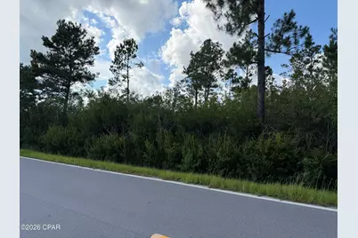 Lot 5 Borders Road, Wewahitchka, FL 32465 - Photo 4