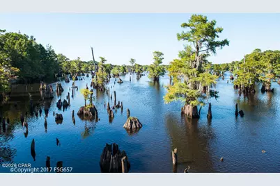 Lot 5 Borders Road, Wewahitchka, FL 32465 - Photo 16