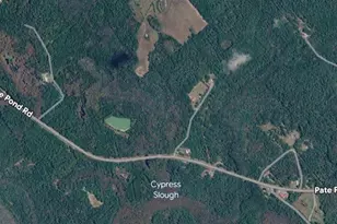2233 Pate Pond Rd, Caryville, FL 32427 - Photo 18