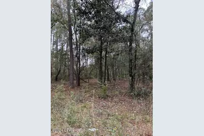 0000 Everest Drive, Chipley, FL 32428 - Photo 2