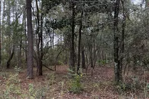 0000 Everest Dr, Chipley, FL 32428 - Photo 2