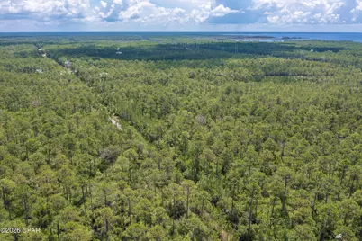 6624 Button Buck Trail, Panama City Beach, FL 32413 - Photo 6