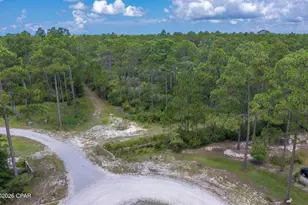 6624 Button Buck Trail, Panama City Beach, FL 32413 - Photo 1