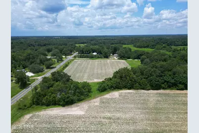 2409 Bluff Road, Grand Ridge, FL 32442 - Photo 18
