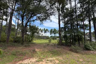 0 Co Hwy 3280 Hwy, Freeport, FL 32439 - Photo 1