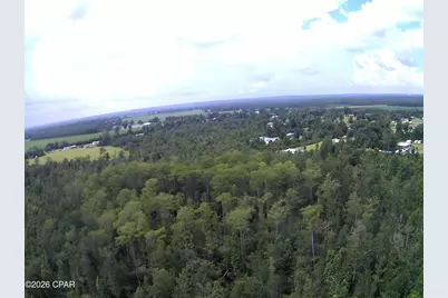 0 Rocky Creek Road, Marianna, FL 32448 - Photo 10