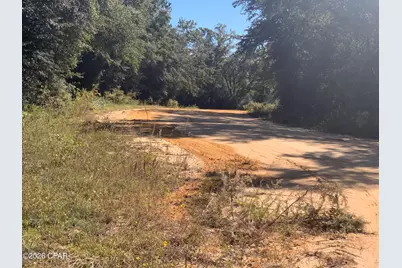 0 Larry Street, Alford, FL 32420 - Photo 2