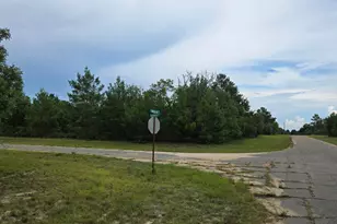 Tbd Banner Ln, Chipley, FL 32428 - Photo 1