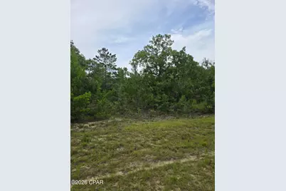 Tbd Banner Lane, Chipley, FL 32428 - Photo 4