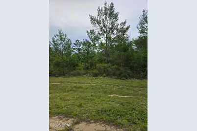 Tbd Banner Lane, Chipley, FL 32428 - Photo 6
