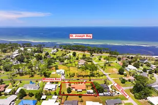 101 Mimosa Ave, Port Saint Joe, FL 32456 - Photo 2